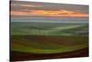Stretched Canvas