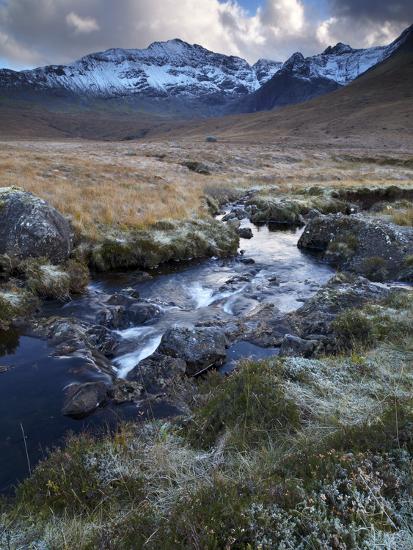Photographic Print, , large