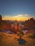 Bryce Canyon National Park-Jon Hicks-Photographic Print