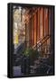 Essential Black