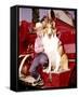 Jon Provost, Lassie (1954)-null-Framed Stretched Canvas