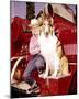 Jon Provost, Lassie (1954)-null-Mounted Photo