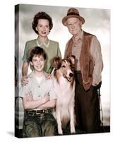 Jon Provost - Lassie-null-Stretched Canvas