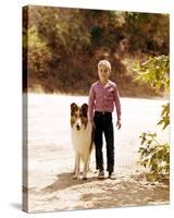 Jon Provost - Lassie-null-Stretched Canvas