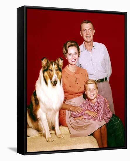 Jon Provost - Lassie-null-Framed Stretched Canvas
