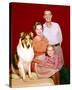 Jon Provost - Lassie-null-Stretched Canvas