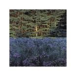 Shadowed Meadow Sunlit Pines-Jon R^ Friedman-Mounted Giclee Print