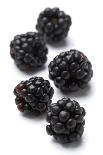 Blackberries-Jon Stokes-Photographic Print