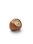 Hazelnut-Jon Stokes-Photographic Print