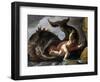 Jonah and the Whale-null-Framed Photographic Print