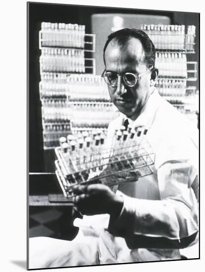 Jonas E. Salk Medical Researcher Who Developed the First Polio Vaccine, Ca. 1955-null-Mounted Photo