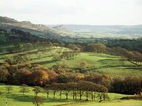 Landscape Near Wincle, Cheshire, England, United Kingdom-Jonathan Hodson-Framed Photographic Print