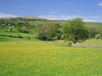 Landscape Near Wincle, Cheshire, England, United Kingdom-Jonathan Hodson-Framed Photographic Print