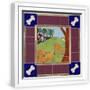 White Frame