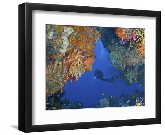 Premium Photographic Print, , large