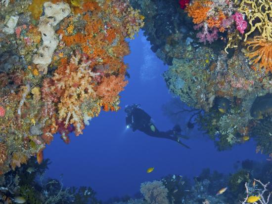 Photographic Print, , large