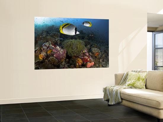 Giant Art Print, , large