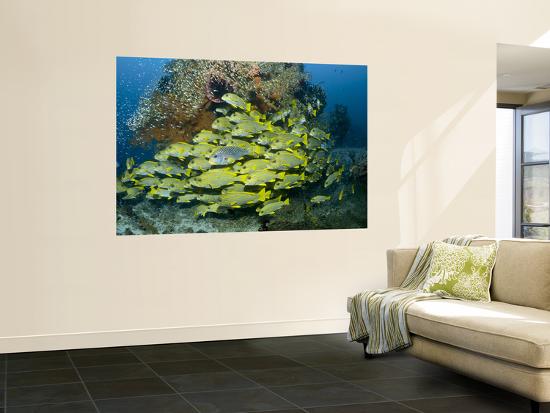 Giant Art Print, , large