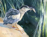 Little Fisherman - Black Crowned Night Heron-Joni Johnson-Godsy-Giclee Print