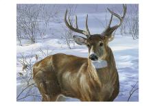 Bull Elk and Shadowy Sage-Joni Johnson-Godsy-Giclee Print