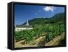 Jonjieux (Jonzieux), Savoie Vineyards, Rhone Alpes, France-Michael Busselle-Framed Stretched Canvas