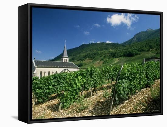 Jonjieux (Jonzieux), Savoie Vineyards, Rhone Alpes, France-Michael Busselle-Framed Stretched Canvas