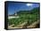 Jonjieux (Jonzieux), Savoie Vineyards, Rhone Alpes, France-Michael Busselle-Framed Stretched Canvas