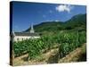 Jonjieux (Jonzieux), Savoie Vineyards, Rhone Alpes, France-Michael Busselle-Stretched Canvas