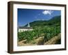 Jonjieux (Jonzieux), Savoie Vineyards, Rhone Alpes, France-Michael Busselle-Framed Photographic Print