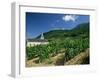 Jonjieux (Jonzieux), Savoie Vineyards, Rhone Alpes, France-Michael Busselle-Framed Photographic Print