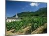 Jonjieux (Jonzieux), Savoie Vineyards, Rhone Alpes, France-Michael Busselle-Mounted Photographic Print
