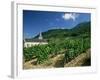 Jonjieux (Jonzieux), Savoie Vineyards, Rhone Alpes, France-Michael Busselle-Framed Photographic Print