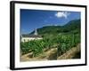 Jonjieux (Jonzieux), Savoie Vineyards, Rhone Alpes, France-Michael Busselle-Framed Photographic Print