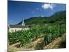 Jonjieux (Jonzieux), Savoie Vineyards, Rhone Alpes, France-Michael Busselle-Mounted Photographic Print