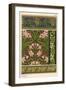 Jonquil, Narcissus jonquilla, as design motif in wallpaper and fabric patterns-null-Framed Giclee Print