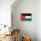 Jordan Flag Design with Wood Patterning - Flags of the World Series-Philippe Hugonnard-Mounted Premium Giclee Print displayed on a wall