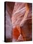 Jordan: in the SIQ at the Petra Site-null-Stretched Canvas