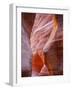 Jordan: in the SIQ at the Petra Site-null-Framed Giclee Print