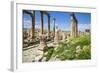 Jordan, Jerash. a Section of the Cardo of the Ancient Roman City of Jerash.-Nigel Pavitt-Framed Photographic Print