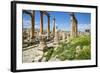 Jordan, Jerash. a Section of the Cardo of the Ancient Roman City of Jerash.-Nigel Pavitt-Framed Photographic Print