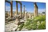 Jordan, Jerash. a Section of the Cardo of the Ancient Roman City of Jerash.-Nigel Pavitt-Mounted Photographic Print