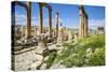 Jordan, Jerash. a Section of the Cardo of the Ancient Roman City of Jerash.-Nigel Pavitt-Stretched Canvas