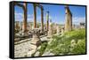 Jordan, Jerash. a Section of the Cardo of the Ancient Roman City of Jerash.-Nigel Pavitt-Framed Stretched Canvas