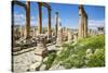 Jordan, Jerash. a Section of the Cardo of the Ancient Roman City of Jerash.-Nigel Pavitt-Stretched Canvas