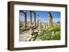 Jordan, Jerash. a Section of the Cardo of the Ancient Roman City of Jerash.-Nigel Pavitt-Framed Photographic Print