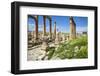 Jordan, Jerash. a Section of the Cardo of the Ancient Roman City of Jerash.-Nigel Pavitt-Framed Photographic Print