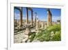 Jordan, Jerash. a Section of the Cardo of the Ancient Roman City of Jerash.-Nigel Pavitt-Framed Photographic Print