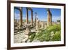 Jordan, Jerash. a Section of the Cardo of the Ancient Roman City of Jerash.-Nigel Pavitt-Framed Photographic Print