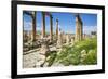 Jordan, Jerash. a Section of the Cardo of the Ancient Roman City of Jerash.-Nigel Pavitt-Framed Photographic Print