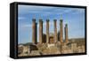 Jordan, Jerash, Temple of Artemis-Claudia Adams-Framed Stretched Canvas